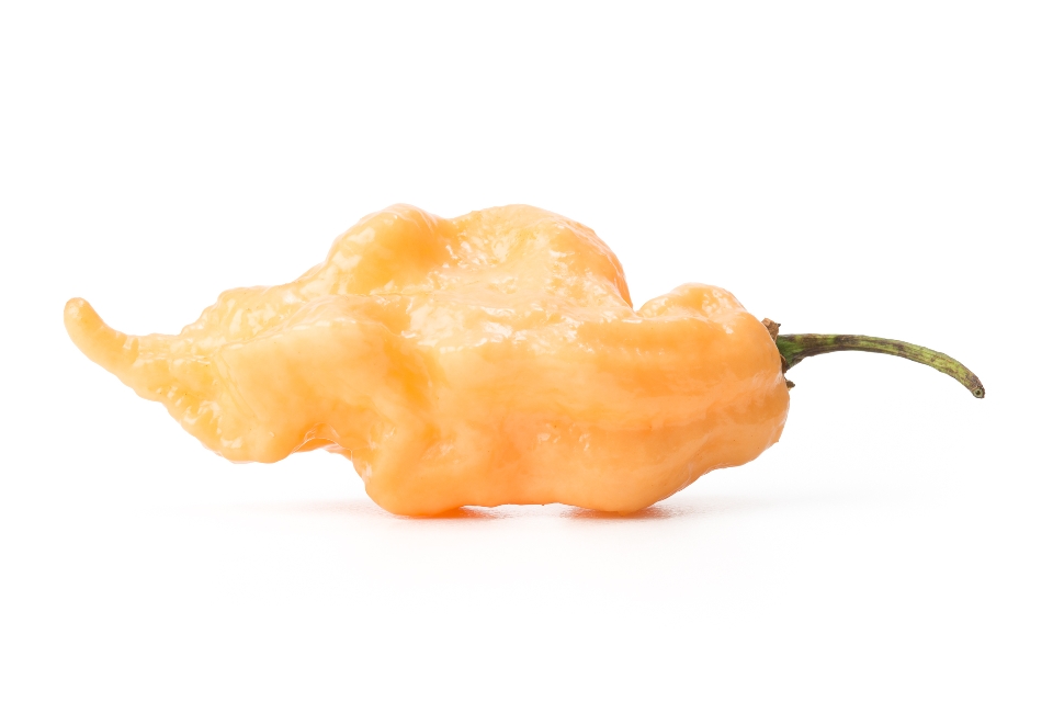Jay's Peach Ghost Scorpion Pepper